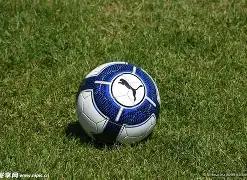 年大学生篮,球赛,勇攀高峰,db体育入口,db体育官网,db体育app下载,db体育平台官网