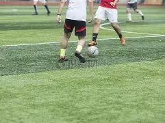 体育,下载,资讯,db体育入口,db体育官网,db体育app下载,db体育平台官网