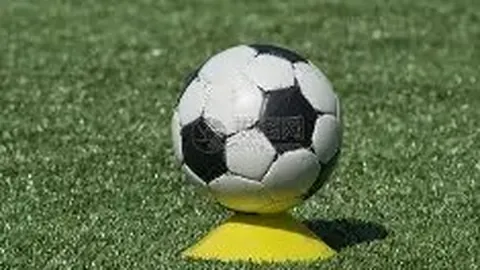 db体育app下载 产品 090026 ne0