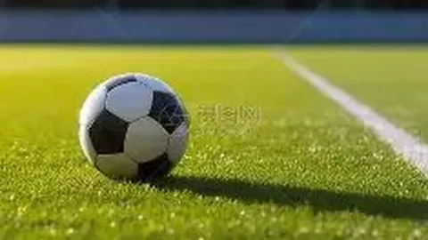 db体育app下载 资讯 085538 xs4